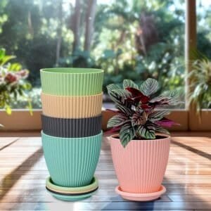 Round Flower Pot With Bottom Tray (5 Pcs Set / Small / 14—16 Cm)