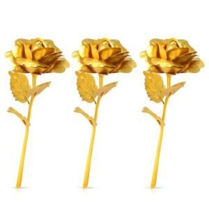 B Golden Rose Is Perfect For Decorating Homes, Offices, Cafes